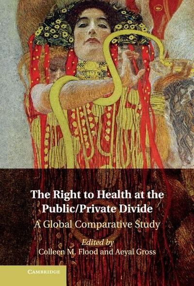 Right to Health at the Public/Private Divide