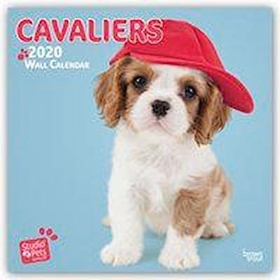Huijing, M: Dear Cavalier Cavalier King Charles Spaniel 2020