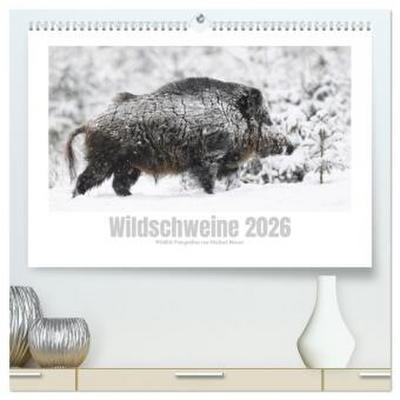 Wildschweine - Wildlife Fotografien (hochwertiger Premium Wandkalender 2026 DIN A2 quer), Kunstdruck in Hochglanz