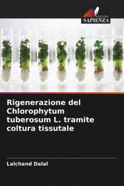 Rigenerazione del Chlorophytum tuberosum L. tramite coltura tissutale