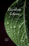 Raindrop Echoes