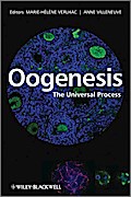 Oogenesis