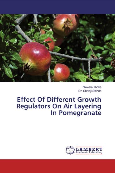 Effect Of Different Growth Regulators On Air Layering In Pomegranate