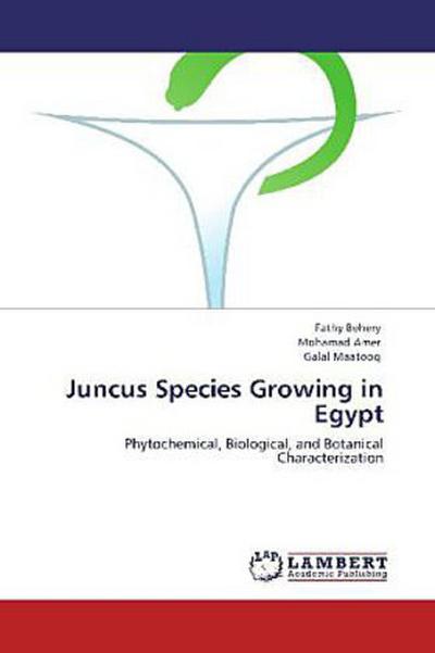 Juncus Species Growing in Egypt