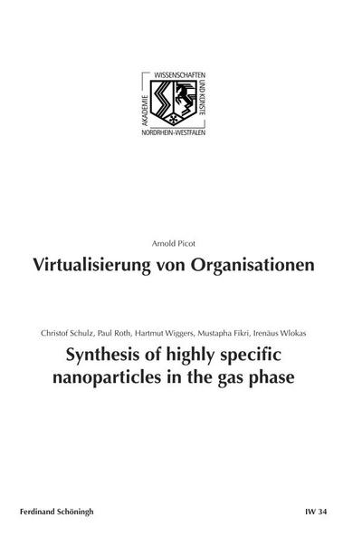 Virtualisierung von Organisationen. Synthesis of highly specific Nanoparticles in the gas phase