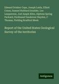 Report of the United States Geological Survey of the territories