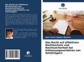 Das Recht auf effektiven Rechtsschutz und Rechtssi