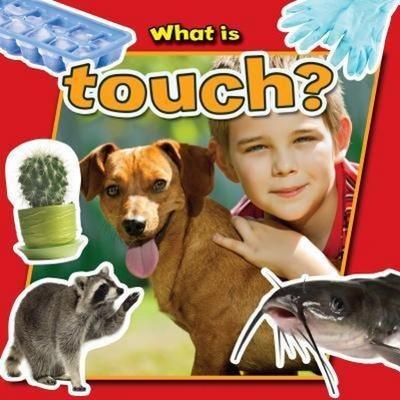 Peppas, L: What is Touch?