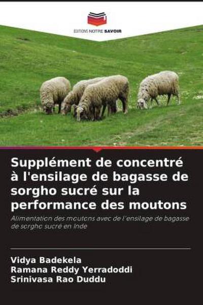 Supplément de concentré à l’ensilage de bagasse de sorgho sucré sur la performance des moutons