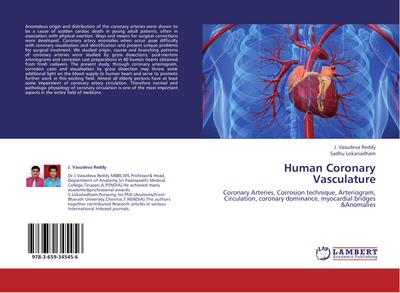 Human Coronary Vasculature