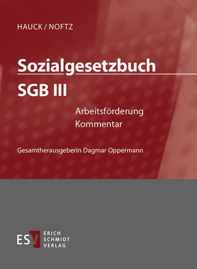 Sozialgesetzbuch (SGB) III: Arbeitsförderung - Einzelbezug