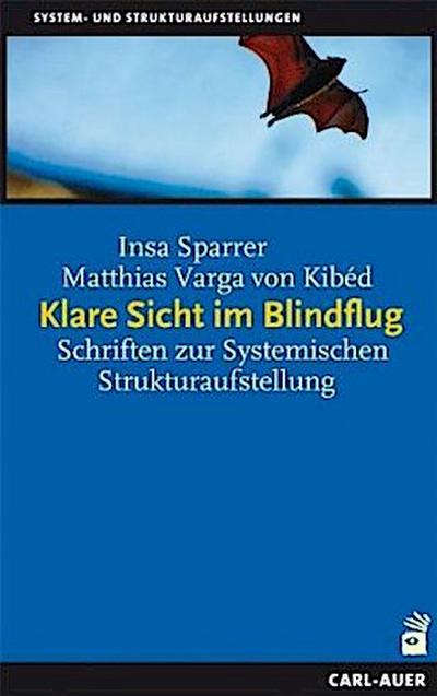 Klare Sicht im Blindflug