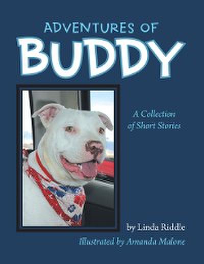 Adventures of Buddy
