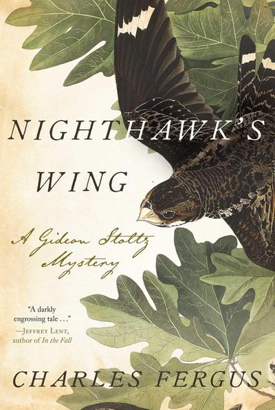 Nighthawk’s Wing
