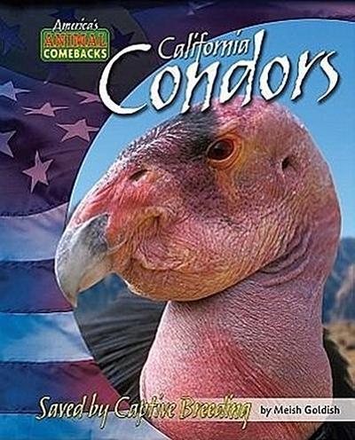 California Condors: Saved by Captive Breeding