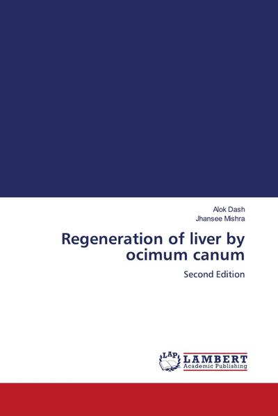Regeneration of liver by ocimum canum