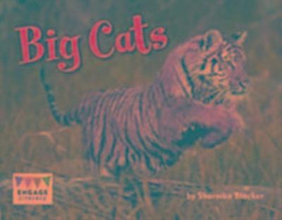 Green Level 12-14 pack of 12 titles new