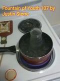 The Fountain of Youth 107