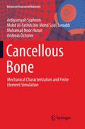 Cancellous Bone