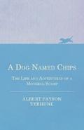 A Dog Named Chips - The Life and Adventures of a Mongrel Scamp
