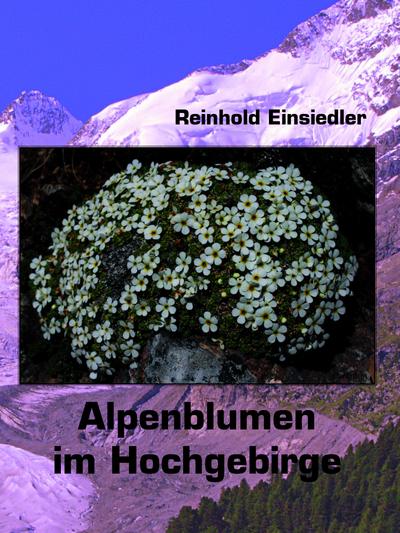 Alpenblumen im Hochgebirge