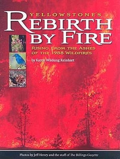Yellowstone’s Rebirth by Fire: Rising from the Ashes of the 1988 Wildfires