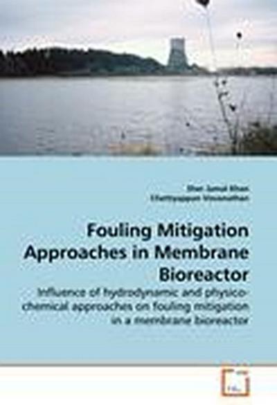 Fouling Mitigation Approaches in Membrane Bioreactor