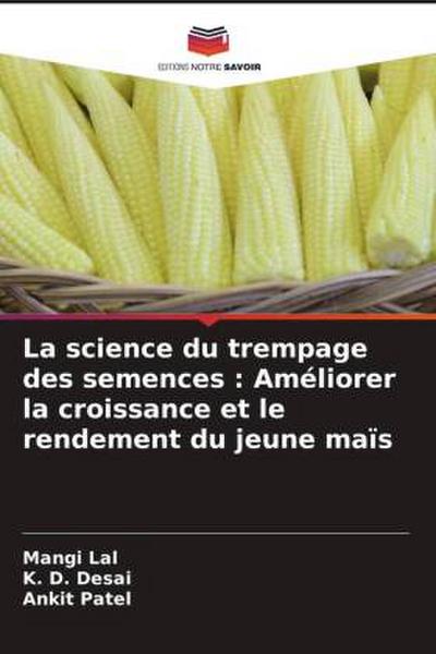 La science du trempage des semences : Améliorer la croissance et le rendement du jeune maïs