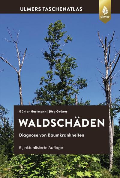 Waldschäden