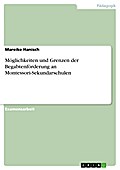 Möglichkeiten und Grenzen der Begabtenförderung an Montessori-Sekundarschulen - Mareike Hanisch