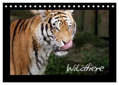 Wildtiere (Tischkalender 2027 DIN A5 quer), CALVENDO Monatskalender