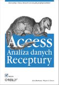 Access. Analiza danych. Receptury