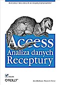 Access. Analiza danych. Receptury