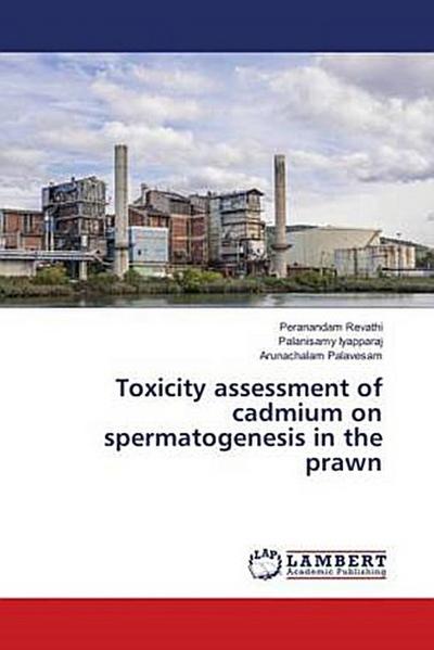 Toxicity assessment of cadmium on spermatogenesis in the prawn
