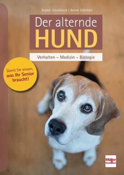 Der alternde Hund