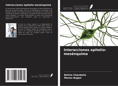 Interacciones epitelio-mesénquima