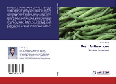 Bean Anthracnose