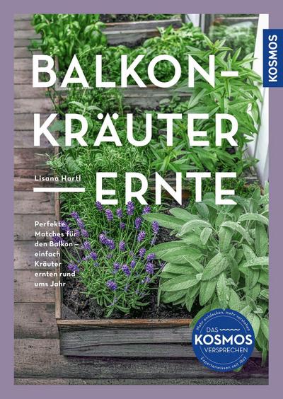 Balkon-Kräuter-Ernte