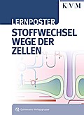 Lernposter - Stoffwechselwege der Zellen
