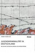 Jugendkriminalität in Deutschland. Wie gelingt die Resozialisierung von Intensivtätern?
