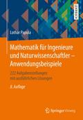 Mathematik für Ingenieure und Naturwissenschaftler - Anwendungsbeispiele