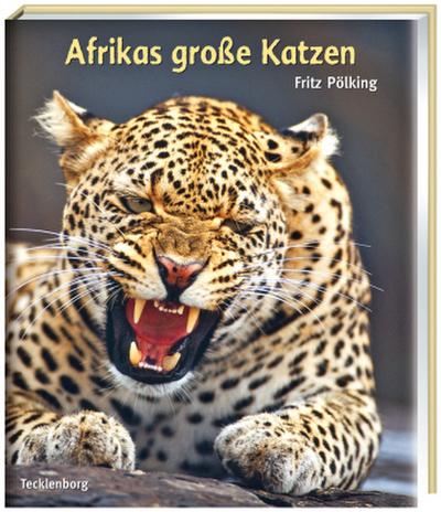 Afrikas grosse Katzen