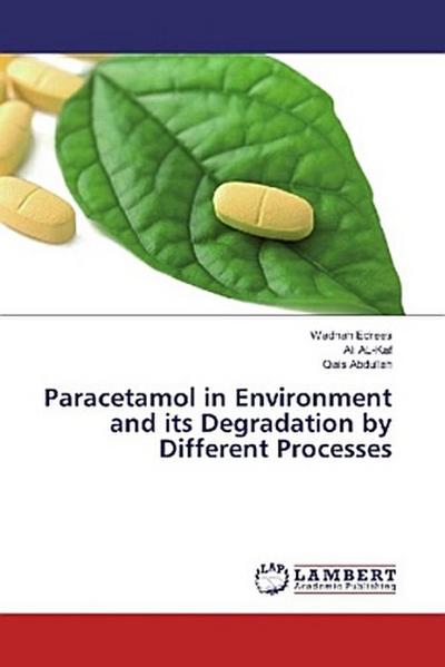 Paracetamol in Environment and its Degradation by Different Processes