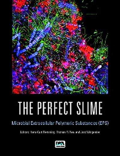 The Perfect Slime