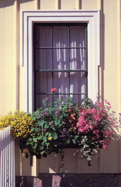 Window Box Journal