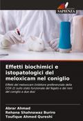 Effetti biochimici e istopatologici del meloxicam nel coniglio