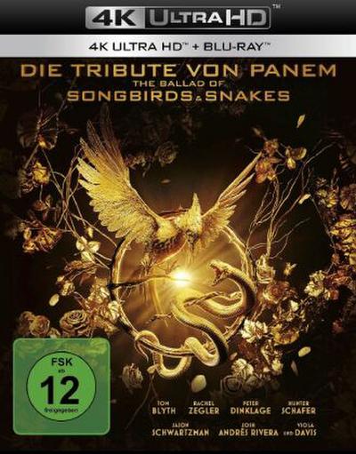 Die Tribute von Panem - The Ballad Of Songbirds And Snakes UHD BD