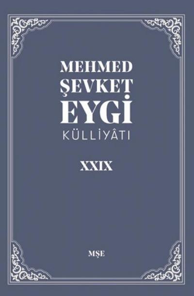 Mehmet Sevket Eygi Külliyati 29