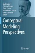 Conceptual Modeling Perspectives