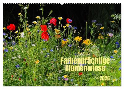 Farbenprächtige Blumenwiese (Wandkalender 2026 DIN A2 quer), CALVENDO Monatskalender